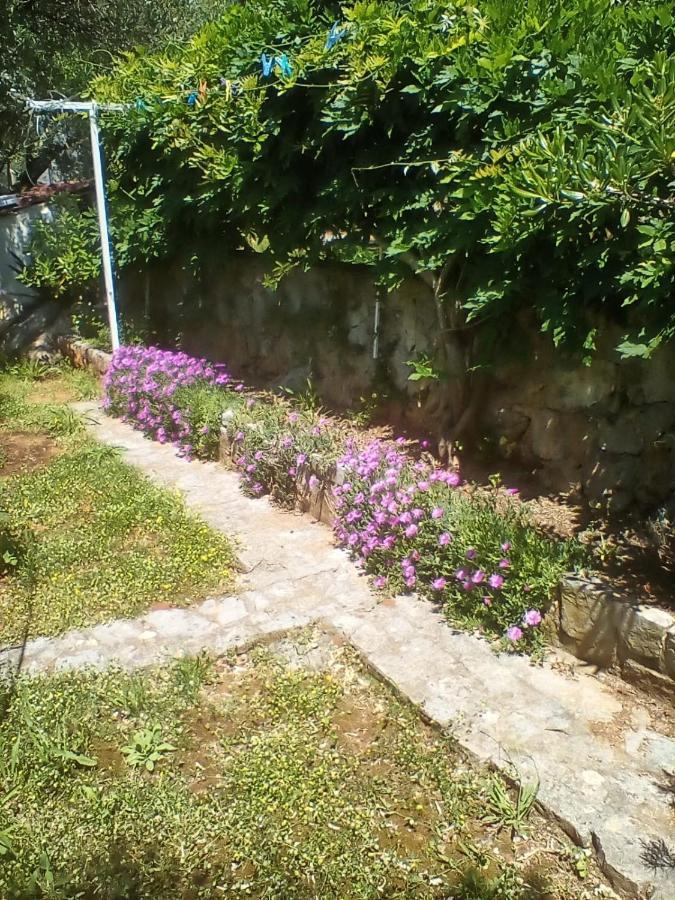 Apartman-Maja-Krk Krk Town Luaran gambar